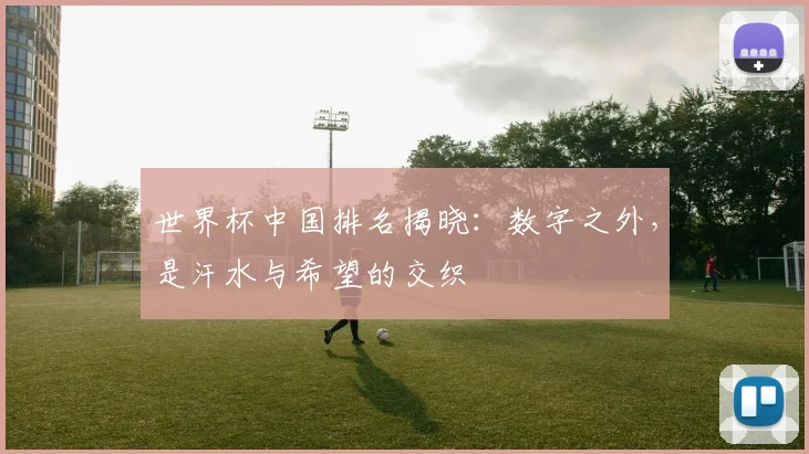 世界杯中国排名揭晓：数字之外，是汗水与希望的交织