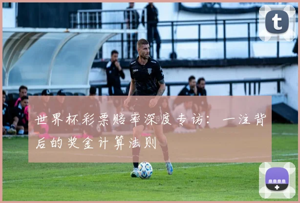 世界杯彩票赔率深度专访：一注背后的奖金计算法则