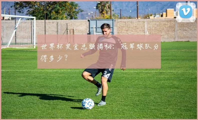 世界杯奖金总额揭秘：冠军球队分得多少？