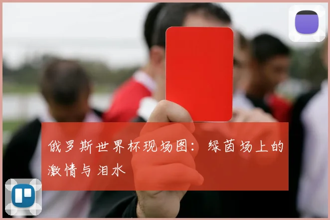 俄罗斯世界杯现场图：绿茵场上的激情与泪水