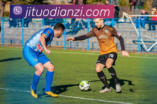 mksports在线登录入口平台生态图